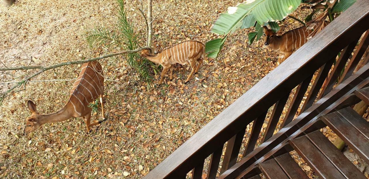 House 53 Sodwana Bay Lodge Luaran gambar