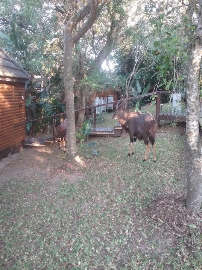 House 53 Sodwana Bay Lodge Luaran gambar